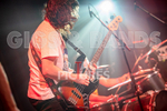 Pigsx7-64
