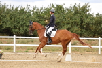 SBM_006527