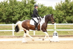 SBM_002953