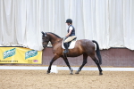 SBM_000984
