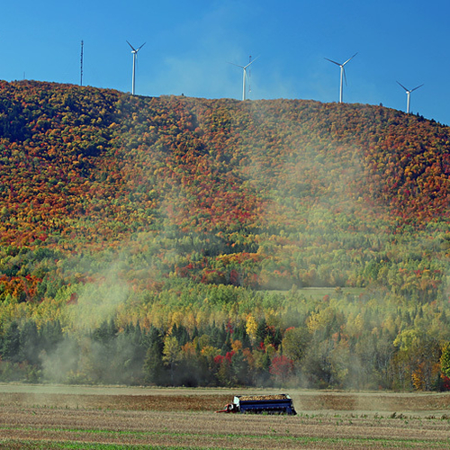Harvesting potatoes in Carleton County, New Brunswick.