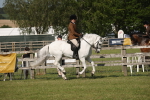SBM_09658