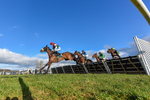 250225-Race 3-Ballyvango-0661
