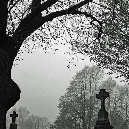 A Fundy fog engulfs Fernhill Cemetery in Saint John, NB enhancing the ambience of old growth trees and century tombst…