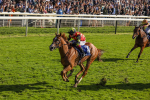 141023-Race 3-Montassib-0417