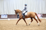 SBM_007949