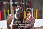 BPP_0964