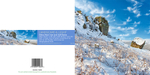 Ref 164 cow and calf snow scene