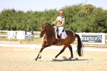 SBM_004878