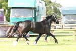 SBM_02237