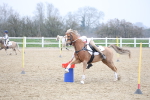 SBM_003948