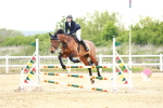 SBM_009669
