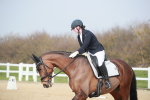 Class 16 - Novice 6 portfolio