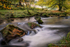 Autumnal Splendour 1