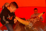 _D4R2011