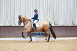 SBM_001520