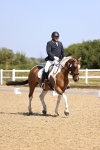 SBM_009298