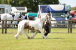 SBM_04312