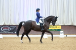 SBM_007871