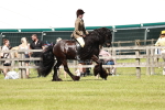 SBM_07125