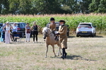 WJ6_8067