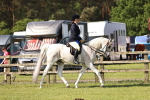 SBM_12498