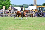 SBM_15408