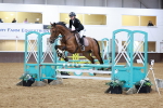 SBM_006915