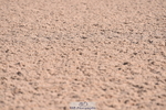230606A-164540-00107