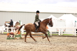 SBM_00554