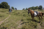 9401 Walk to Maratea
