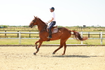 SBM_000562