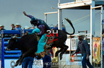 3HRodeo7-10-24_3HR1329_LJD