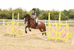 SBM_007293