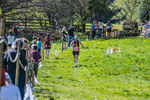 The Finish-470