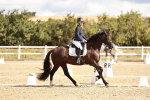 SBM_003535