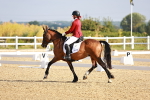 SBM_008173