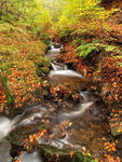 Porter Clough - Oct 2006