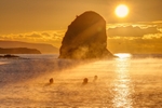 z4229 Winter Swim at Sunrise, Freshwater Bay