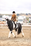 SBM_00293