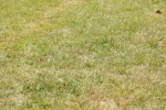 SBM_05317