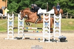 Cls 6 British Novice and 90cm Open portfolio