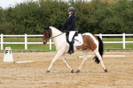 SBM_001594
