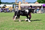 SBM_10010