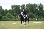 WJ6_6677
