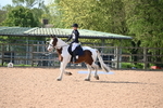 WJ6_6780
