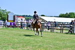 SBM_17428