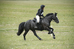 BVHT 140517  NXC -235