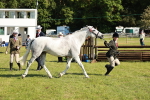 SBM_19316