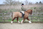 SBM_006046